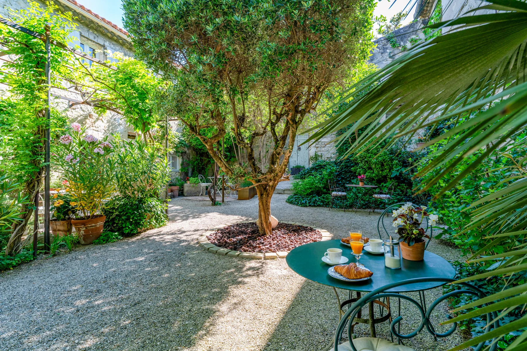 Un coin de jardin